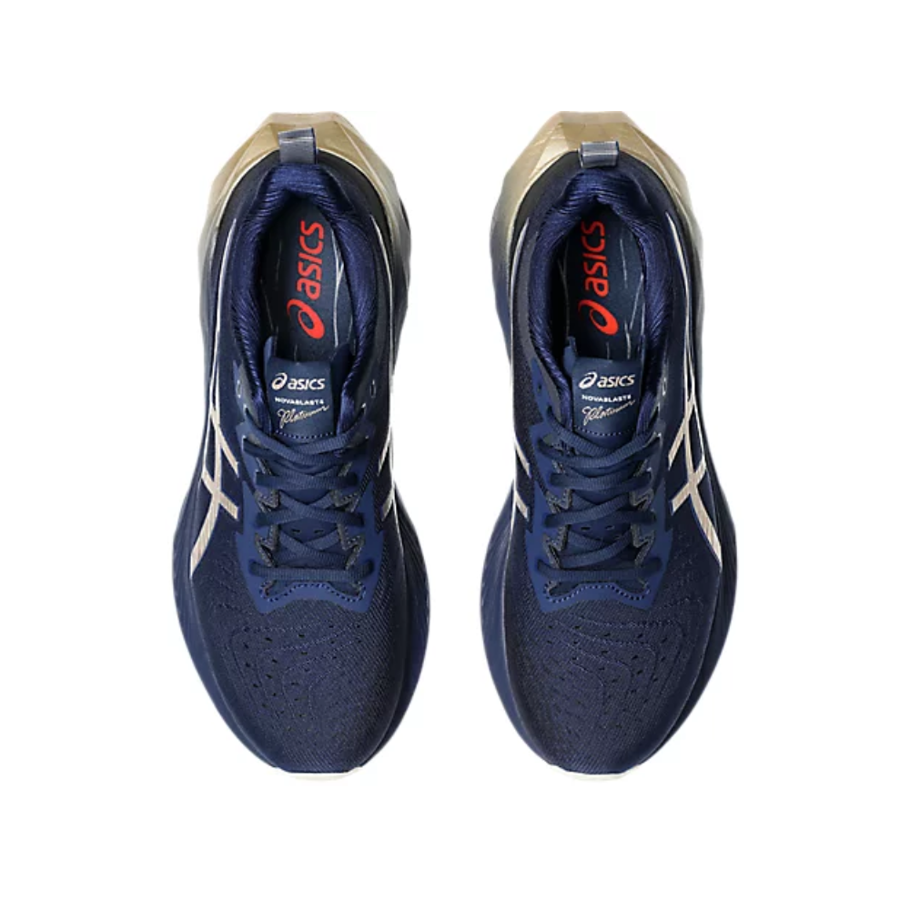 Asics Novablast 4 Platinum For Men's & Women's
